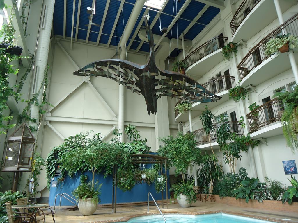 Hotel L'Oie Des Neiges Lévis Exteriör bild